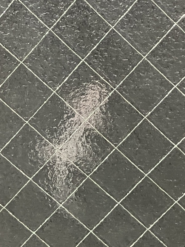 振り返ればヤツがいた