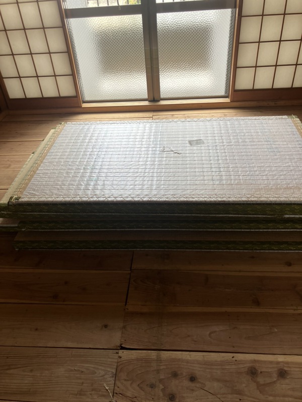 亜熱帯気候