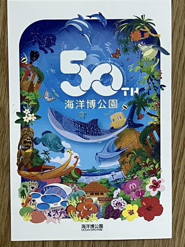 台風明けの休日にどうですか？