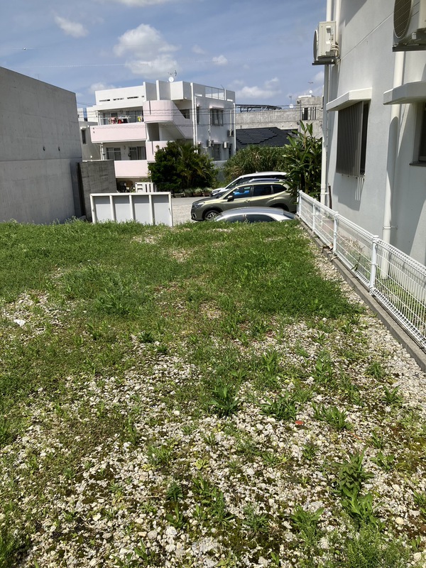 日差しが強いですね。