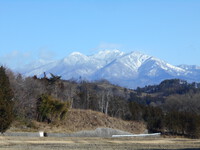 観察することを大切に