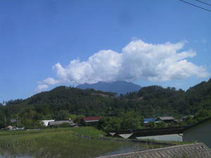 初夏の八ヶ岳