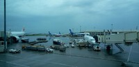 梅雨の沖縄。。。。大雨 2024/06/21 06:00:00