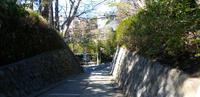 何時もの散歩道 2024/05/24 06:05:00