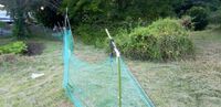ソフィア農場の周りの草刈り 2024/08/16 06:05:00