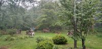 ソフィア山小屋の夏日 2024/10/05 06:05:00