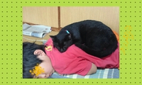 背中に