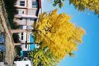 季節の衣替え　 2005/11/23 09:58:24
