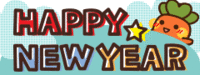 ２０１３年初日の出 2013/01/05 13:24:53
