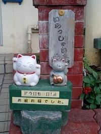 街で見つけました。 2009/11/28 09:00:00