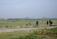 泡瀬海岸へ潮干狩りに行ってきました。 2010/04/30 17:35:47