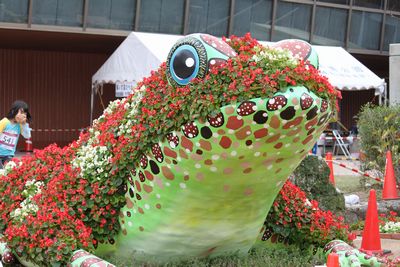 海洋博公園の動物たち