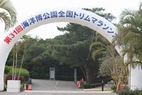 第31回海洋博公園全国トリムマラソン 2010/01/18 18:28:47