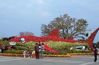 海洋博公園の動物たち 2010/02/06 13:07:36