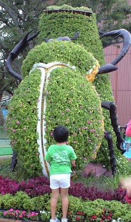 海洋博公園の動物たち