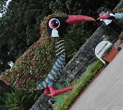 海洋博公園の動物たち