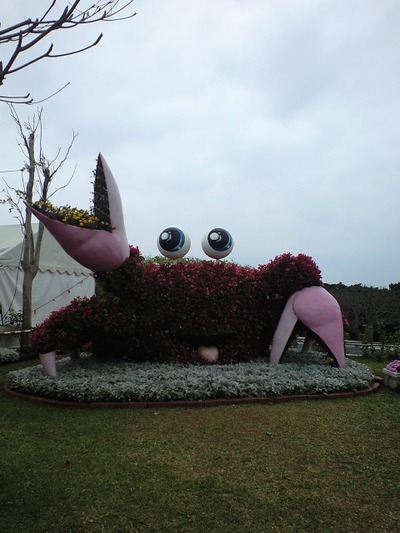 海洋博公園の動物たち２