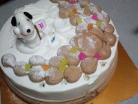 孫７人と５６才誕生会 2010/09/28 12:46:19