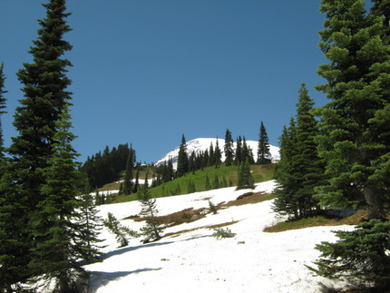 やっほー！Mt. Rainier