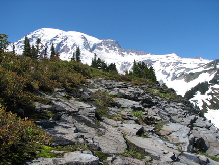 やっほー！Mt. Rainier