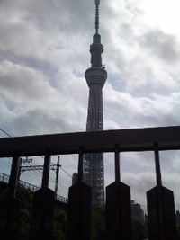 スカイツリーはカリン塔 2011/09/03 09:41:06