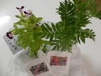 無料で！（＾ｖ＾） 2012/09/14 15:36:40