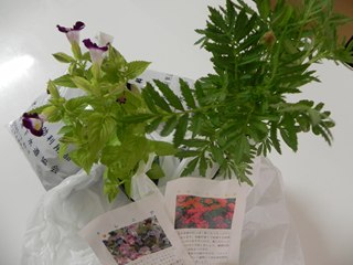 無料で！（＾ｖ＾）