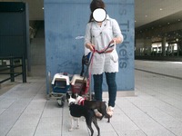 無事到着 2012/04/29 18:39:03