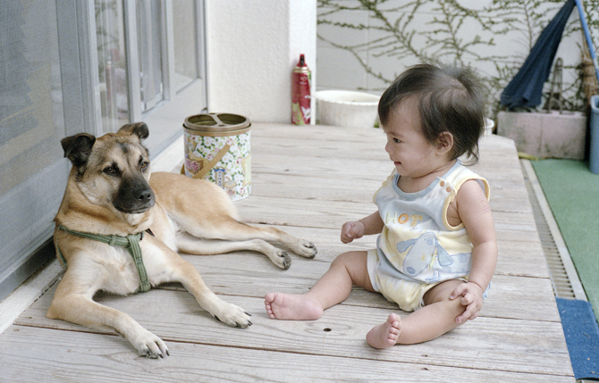 犬好きなファミリー 沖縄アコギ好き親父のブログ