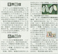 「沖縄タイムス」2008.03.11 2008/03/11 12:42:57