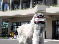 ＩＴ津梁パーク祭り！ 2011/08/30 20:10:00