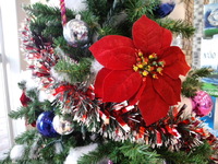 クリスマスですね~ 2011/12/21 11:05:52