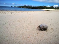 やっぱ夏は海ですね~ 2011/08/20 20:05:00