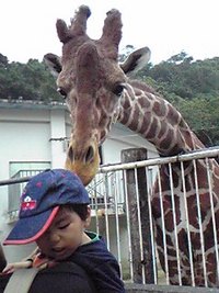 ?何年振りに… 2007/11/19 13:56:39