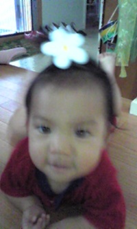 ✿飾り　（*^_^*） 2009/11/25 13:27:04