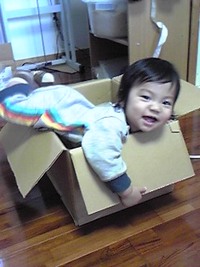クリスマス・イブでございます。 2009/12/24 10:01:33