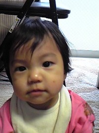 仕事始め 2010/01/05 11:08:45