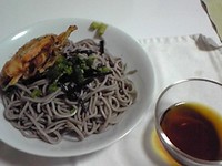 ざる蕎麦 2010/04/15 10:05:14