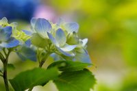誰かのためではなく、自分のためにそれを選ぶ 2011/04/30 18:29:12