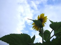 じっくり聴いてあげようか。 2011/07/21 11:31:57