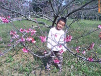 いい天気 2008/02/25 12:32:51
