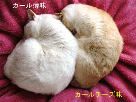 スタンドライト