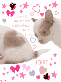 マロンが守るでちっ！
