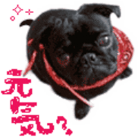 普天間中３３期生♪卒業生の方へ・・・＼(~o~)／ 2008/10/15 17:50:20