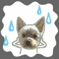 転居先不明者＆連絡先不明者 2008/11/05 17:30:10