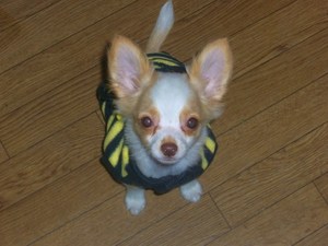 早く仲良くなってね♪