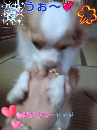 あがっ(◎o◎) 2010/07/28 16:58:47