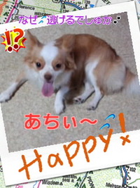 バテやがった〜(゜∀゜;ノ)ノ 2010/08/04 18:55:43