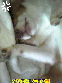 ウフッ…(￣○￣;)もしかして… 2010/09/22 17:05:34