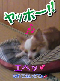 犯人さん(￣○￣;) 2010/09/15 22:20:22